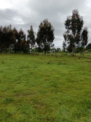 Venta-de-Parcela-en-Mariquina-CUYAN